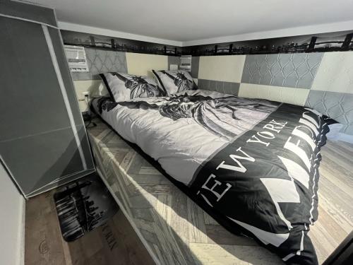 20260222_113524297_ios_-_grande